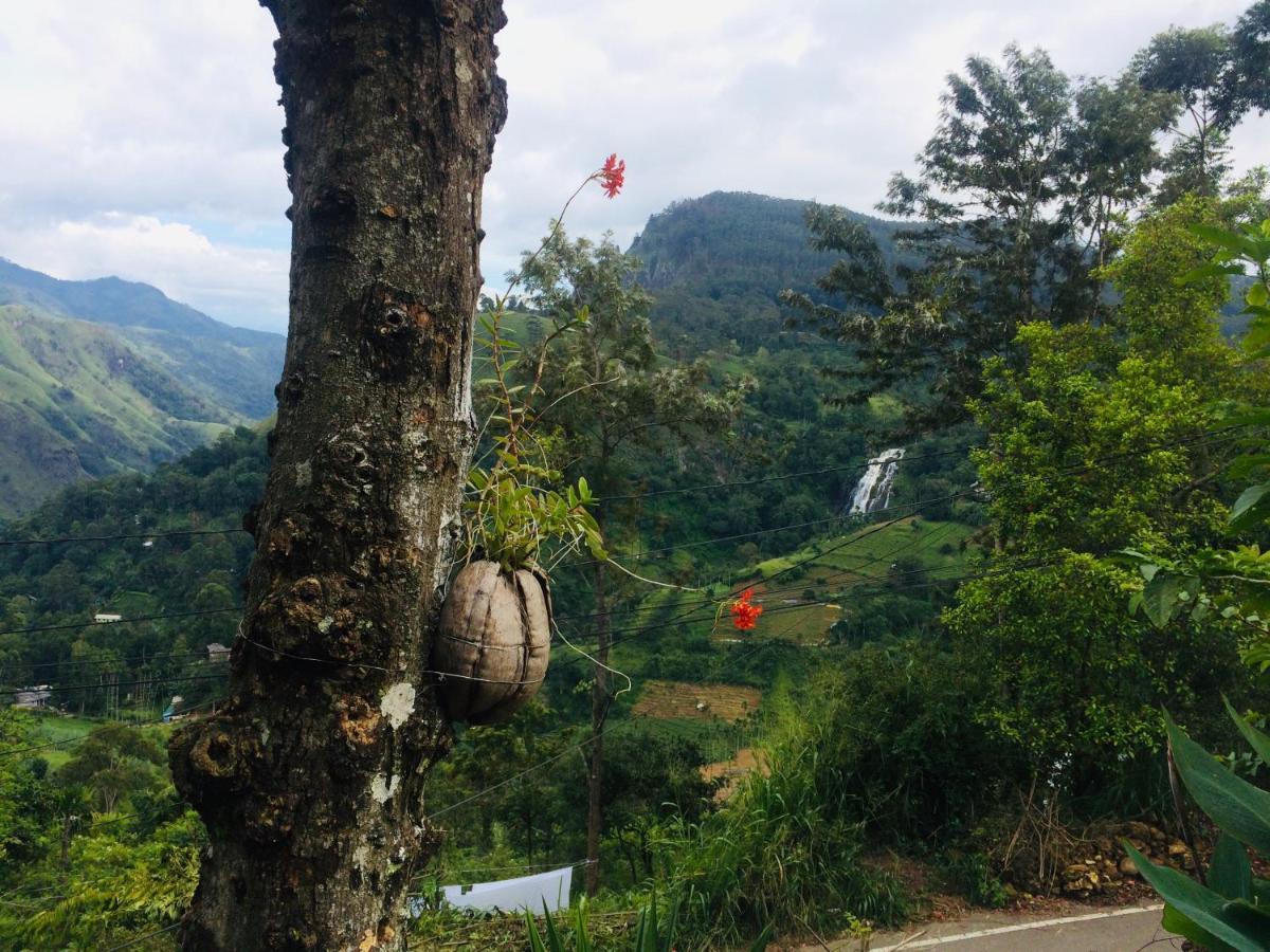 Rock Paradise Homestay Ella Exterior foto